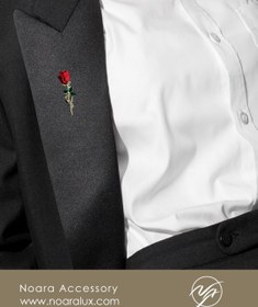 تصویر گل سینه گلسرخ 