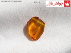 تصویر نگین کهربا حشره ای کد 71413 