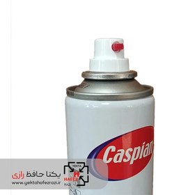 تصویر اسپری قهوه ای سوخته کاسپین وزن 295 گرم 