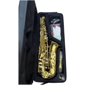 تصویر ساکسیفون آلتو سندنر Sandner Alto Saxophone 
