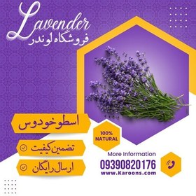 تصویر اسطوخدوس (40گرمی) فروشگاه لوندر 