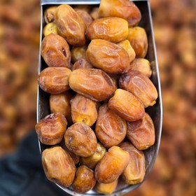 تصویر خرما زاهدی 