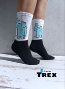 تصویر سالیوان۳ 