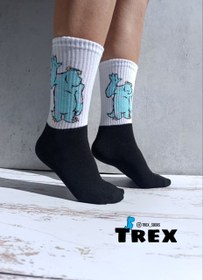 تصویر سالیوان۳ 