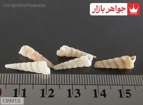 تصویر نگین صدف ریز زیبا کد 139913 