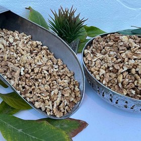 تصویر گردوی دندانه 