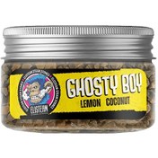 تصویر سنگ بخار الیستیم گوستی بوی Elisteam ghosty boy steam stones 