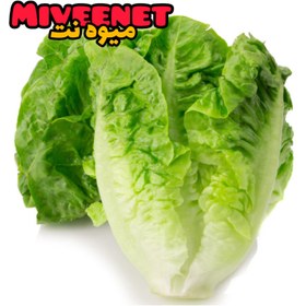 تصویر بیبی کاهو میکس پاک شده ۶۰۰+ گرمی بسته بندی میوه نت Baby lettuce mix +600 Gr fresh packing miveenet