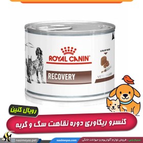 تصویر کنسرو ریکاوری رویال کنین سگ و گربه 195 گرم Royal Canin Recovery for Cats & Dogs 195g