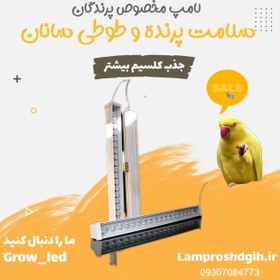 تصویر لامپ مخصوص پرنده و طوطی سانان (اصل) طیف سفید و افتابی 