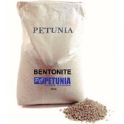 تصویر پودر بنتونیت (BNTT) Bentonite Powder (BNTT)