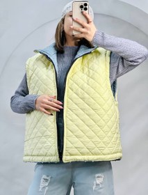 تصویر پافر دو رو 