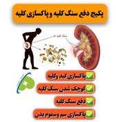 تصویر پکیج دفع سنگ کلیه و پاکسازی کلیه 