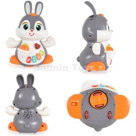 تصویر خرگوش رقاص هولا تویز Dancing Bunny HE9991