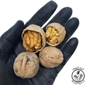 تصویر گردوی ایرانی اعلا مغز پر - 500 گرم Iranian Walnut