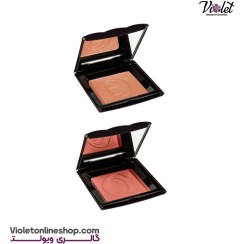 تصویر رژ گونه پودری کاپریس مدل وزن 8.5 گرم 8.5g