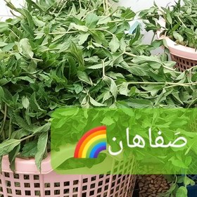 تصویر نعنا خشک صدگرمی خشک مزه صفاهان 