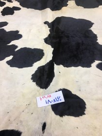 تصویر پوست طبیعی گاو تزنیِِینی 29.75 پا ا cow skin cow skin
