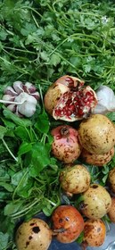 تصویر مواد زیتون پرورده 