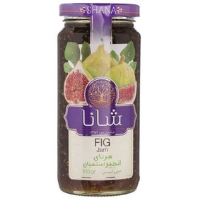 تصویر مربا انجیر شانا – 310 گرم Shana Fig Jam - 310 gr