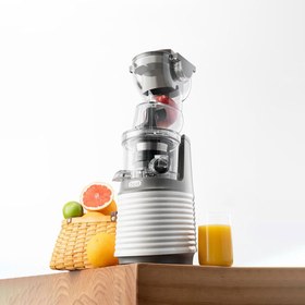 Fruit juicer outlet price