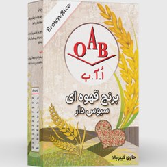 تصویر برنج قهوه‌ای سبوس دار OAB وزن ۷۰۰ گرم 