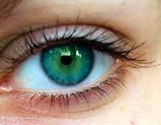 تصویر سابلیمینال تغییر رنگ چشم به سبز 