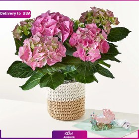 تصویر (Delivery to USA) Pink Hydrangea Plant 