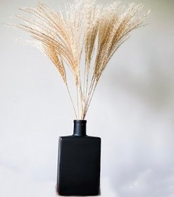 تصویر گل خشک قمیش 