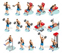 تصویر وکتور ورزش وزنه برداری 