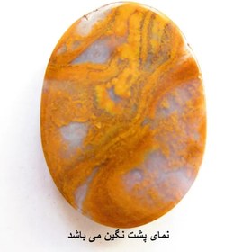 تصویر نگین جاسپر پاییزی معدنی کد A 961 jasper