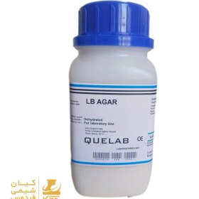 تصویر محیط کشت کیولب lb agar 