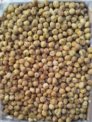 تصویر انجیر 2A معمولی استهبان 