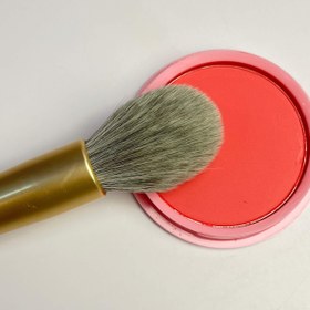 تصویر براش تکی رژگونه نوپو 