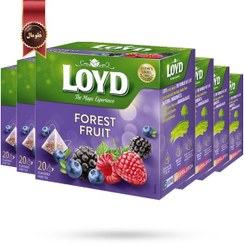 تصویر چای کیسه ای هرمی لوید LOYD مدل میوه جنگلی forest fruit پک 20 تایی بسته 6 عددی 