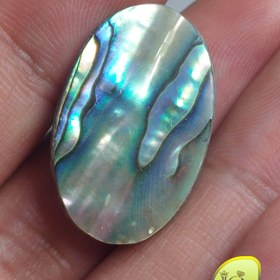 تصویر نگین صدف آبالون 