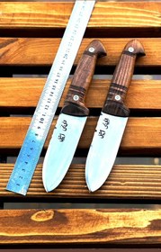 تصویر سلاخی ولی قمی 