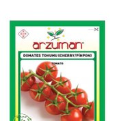 تصویر بذر گوجه فرنگی چری آرزومان | Arzuman 