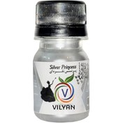 تصویر رنگ تزئینی پودری نقره ای - 15 گرم 