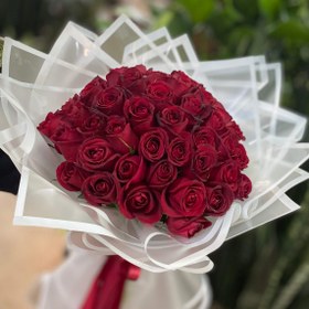 تصویر رز هلندی ۶۰ شاخه کد ۲۲ 