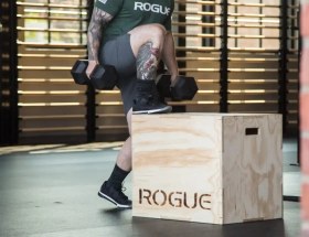تصویر جامپ باکس ROGUE 