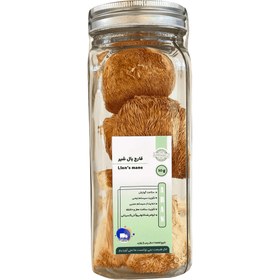 تصویر قارچ یال شیر 