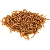 تصویر میل ورم خشک شده مخصوص پرندگان و خزندگان بسته 60 گرمی 