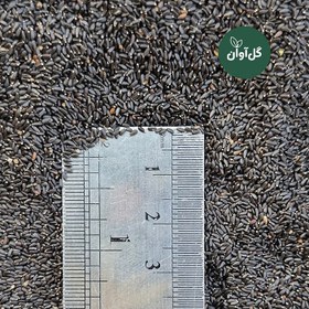 تصویر بذر گیاه دارویی بادرنجبویه (ملیس) 