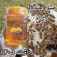 تصویر عسل چندگیاه پاییزه 1 کیلویی .دشتی (خرید مستقیم از زنبوردار)ارسال رایگان) - ۱ کیلویی بدون موم 