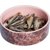 تصویر تشویقی طبیعی گربه، ماهی کیلکا برند پت مزه 