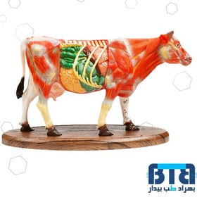 تصویر مولاژ گاو 