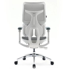 تصویر صندلی ارگونومیک SIHOO S100 SIHOO S100 Ergonomic Office Chair