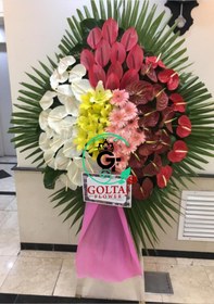 تصویر تاج گل دیار 