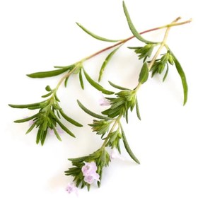 تصویر اسانس طبیعی مرزه (Savory Essential Oil) 